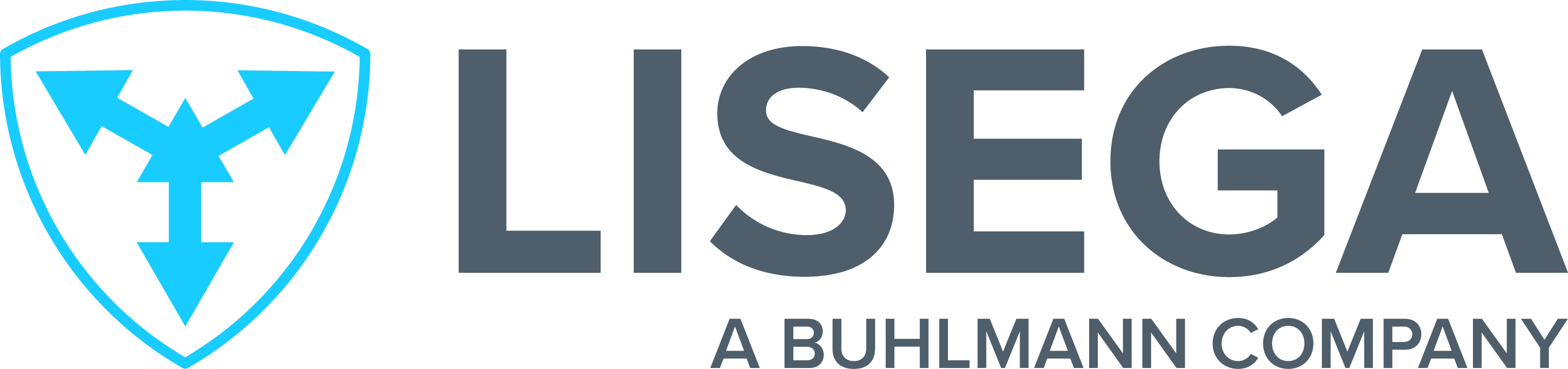 LISEGA, Inc. Logo